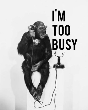 Im-too-busy-strategy-lab