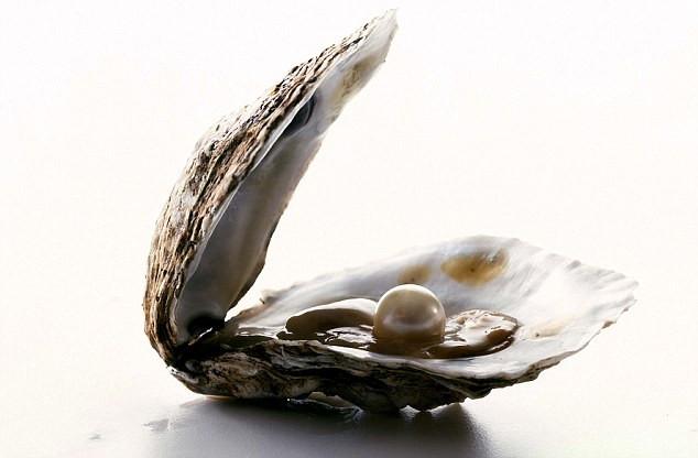 oyster